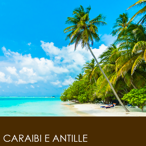 Caraibi e Antille